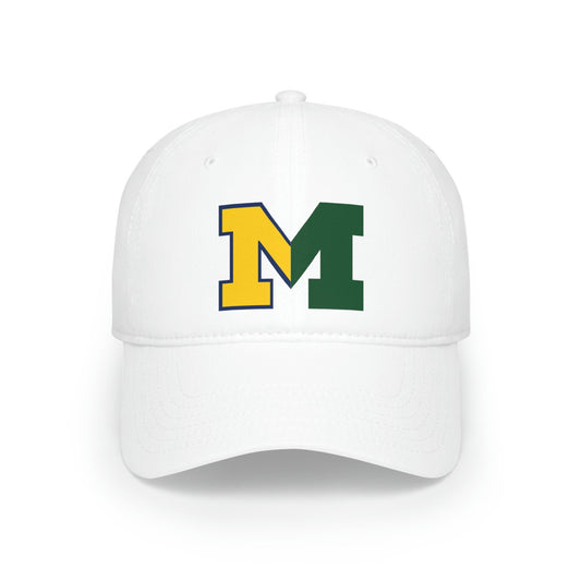 House Divided - Michigan (UMich x Michigan State)