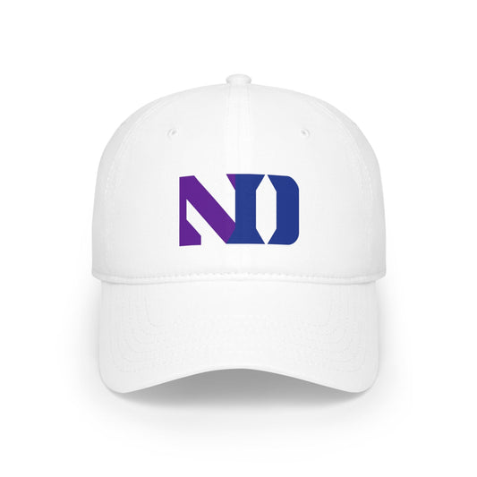 House Divided - (Northwestern University x Duke University)